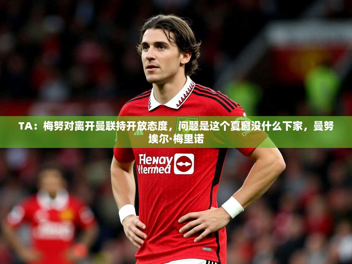 2025华体体育官网TA:梅努对离开曼联持开放态度,问题是这个夏窗没什么下家,曼努埃尔·梅里诺 第4张