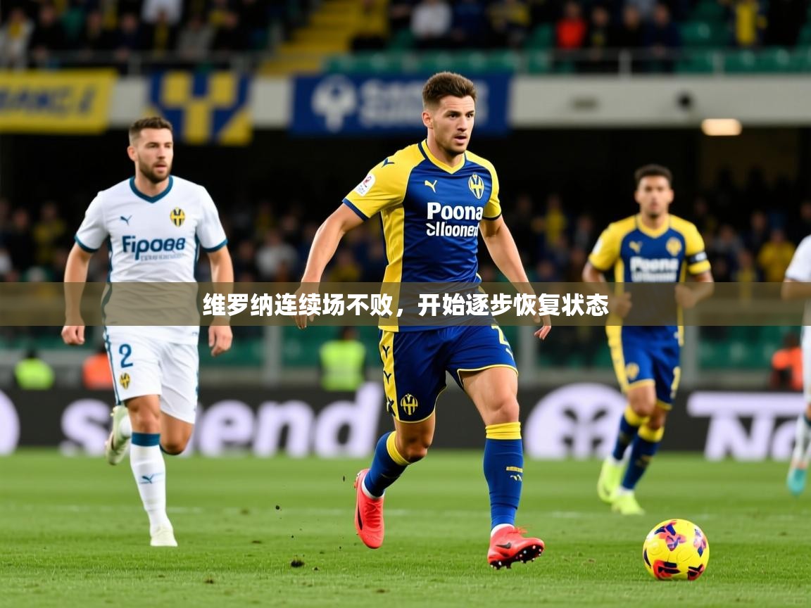2026华体体育app下载维罗纳连续场不败，开始逐步恢复状态  第4张