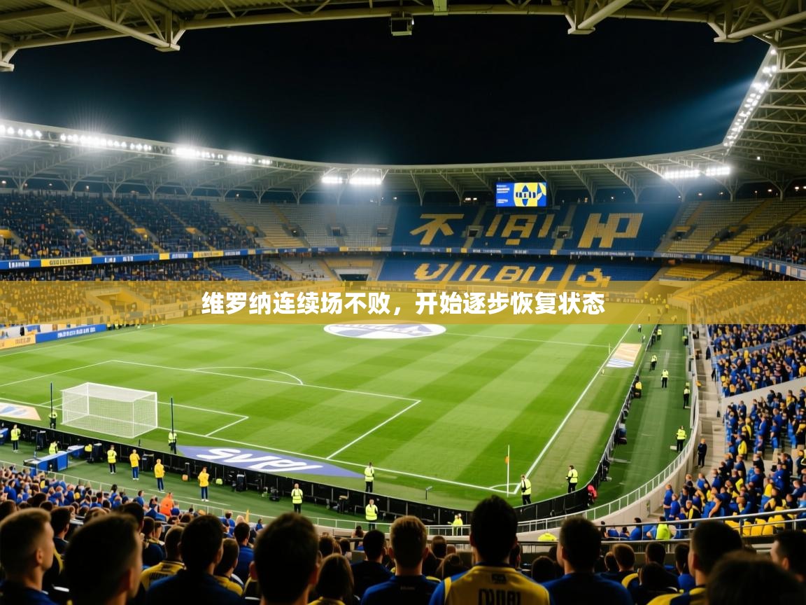 2026华体体育app下载维罗纳连续场不败，开始逐步恢复状态  第2张